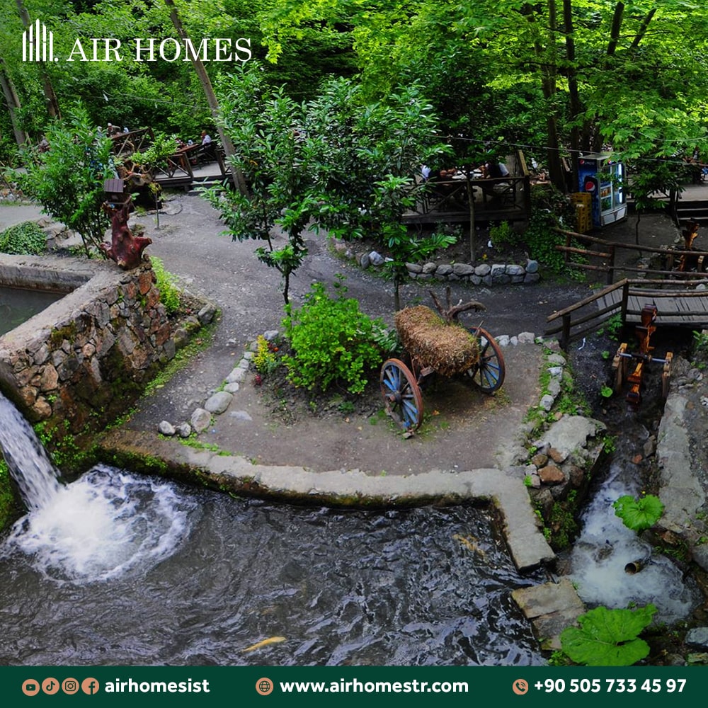 Sapanca and Mashokieh Trip