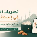 رسم توضيحي لمحفظة نقود وهاتف ولوحة أسعار صرف أمام أفق إسطنبول مع عنوان دليل تصريف العملات في إسطنبول